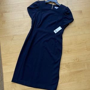 NWT Calvin Klein Cap Sleeve Dress